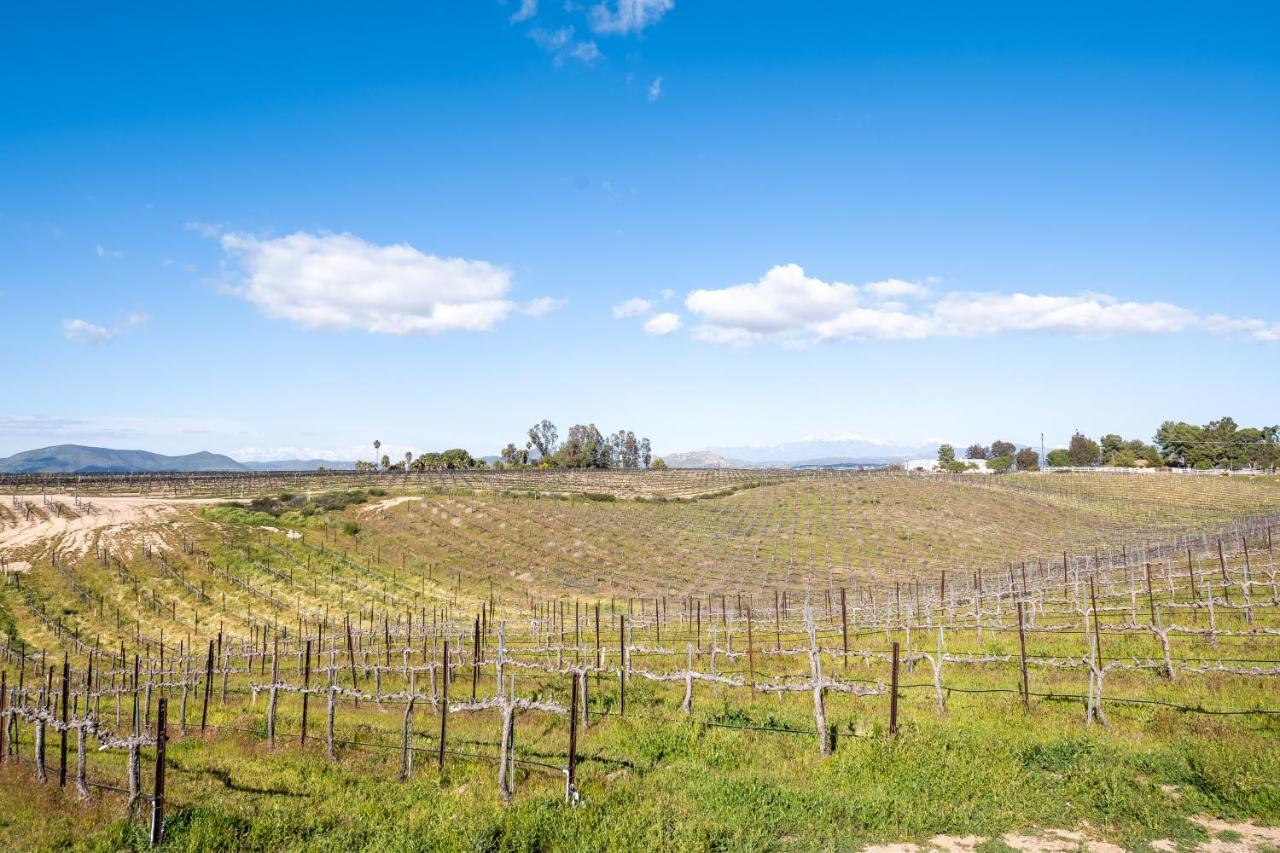 Domaine Chardonnay Bed & Breakfast Temecula Luaran gambar