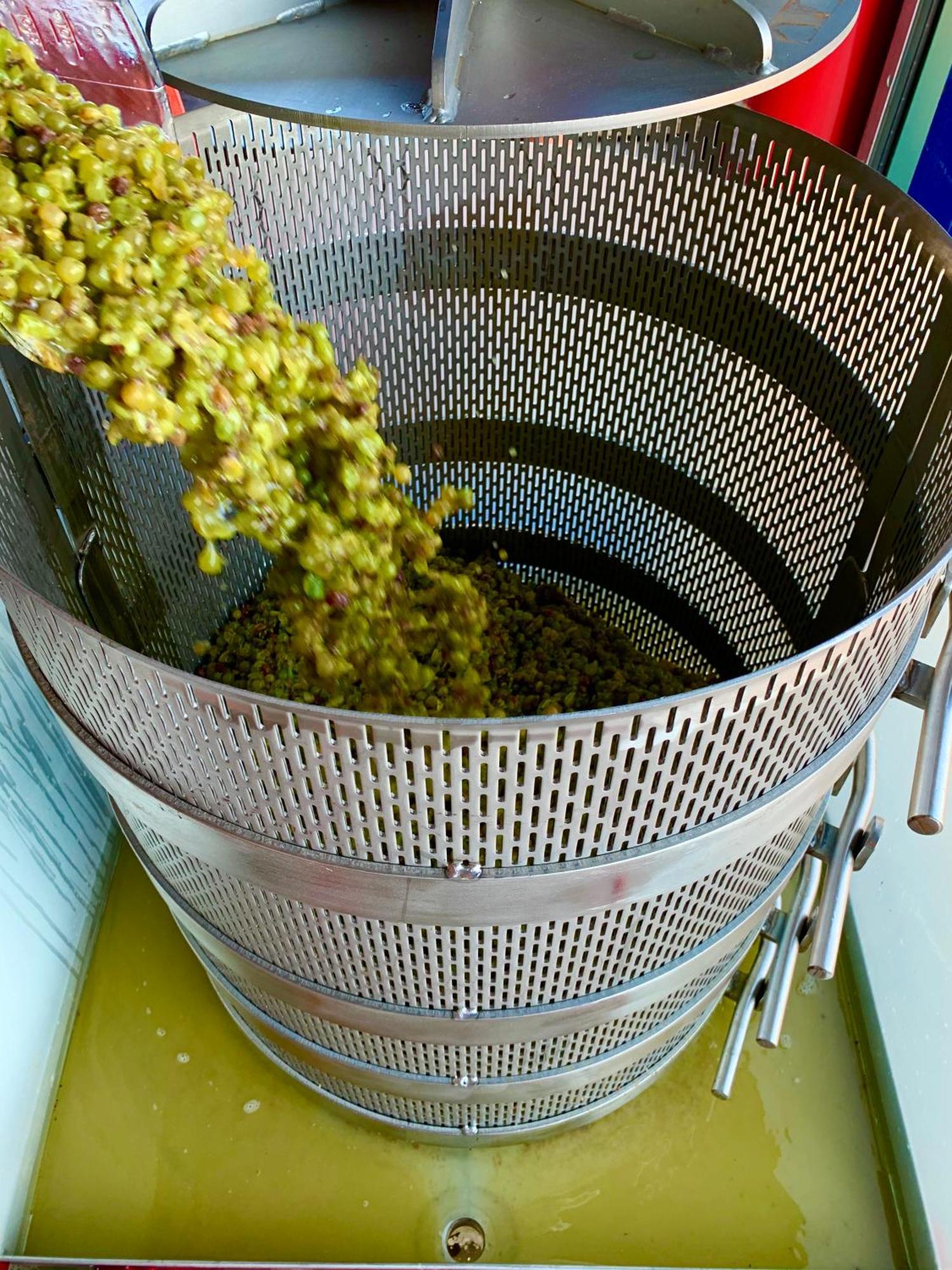 Domaine Chardonnay Bed & Breakfast Temecula Luaran gambar