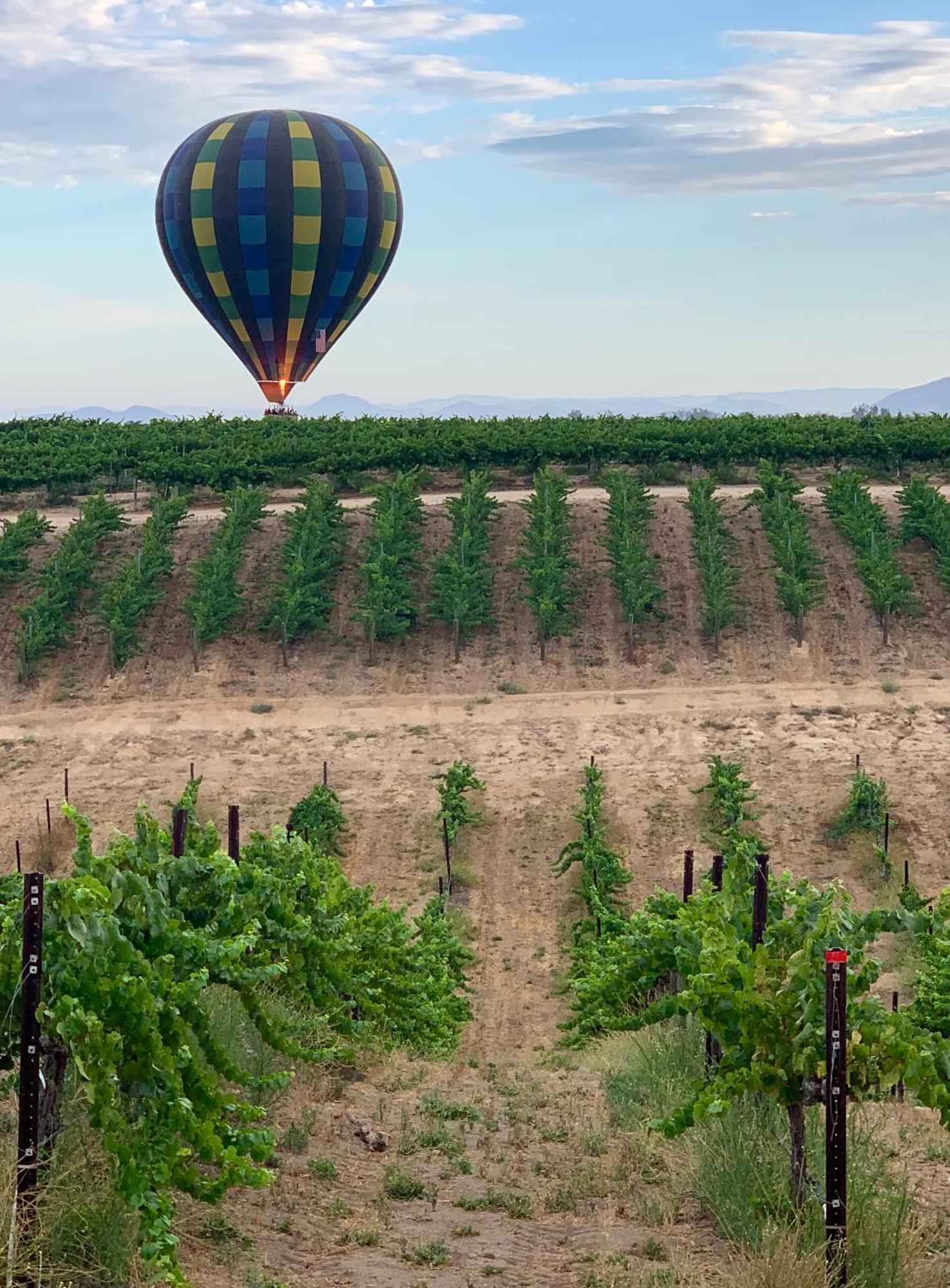Domaine Chardonnay Bed & Breakfast Temecula Luaran gambar