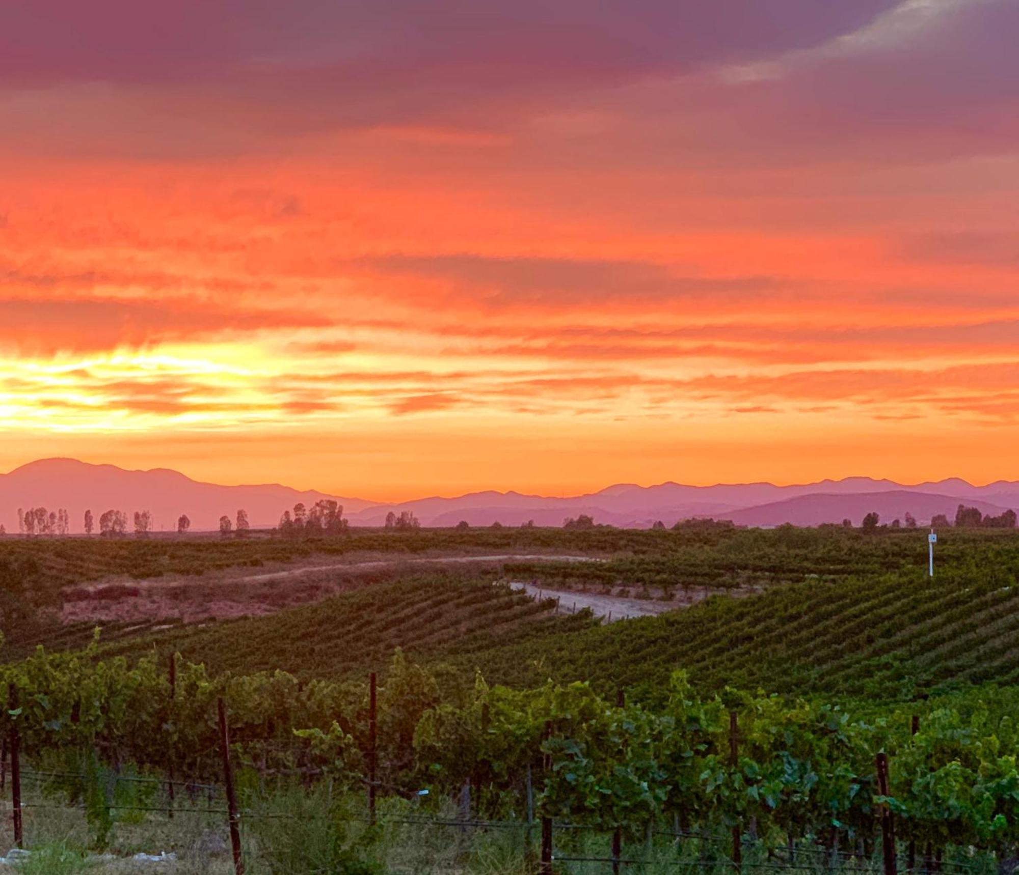 Domaine Chardonnay Bed & Breakfast Temecula Luaran gambar