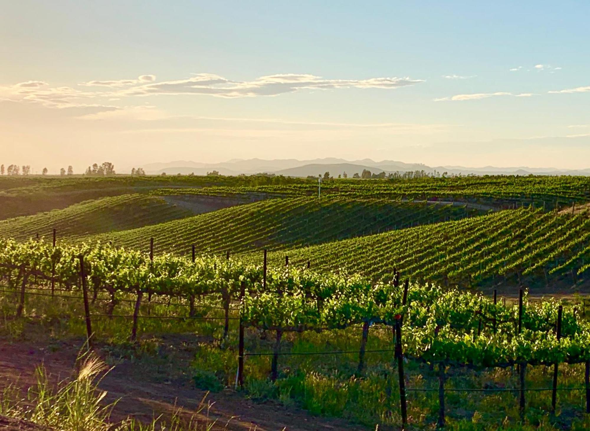 Domaine Chardonnay Bed & Breakfast Temecula Luaran gambar
